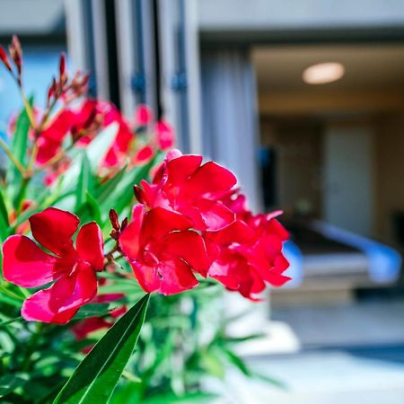 Dedaj Resort - Villa Auri Zadar Phòng bức ảnh